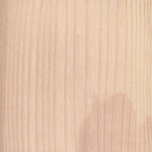 English Ash 300x300